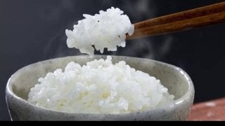 食べて痩せる「お米との付き合い方」