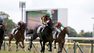 ブルトガングが安楽死処分 全姉は桜花賞馬のグランアレグリア