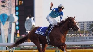 2019キングジョージⅥ世＆クイーンエリザベスステークス（G1）出走予定のシュヴァルグラン号がイギリスに到着