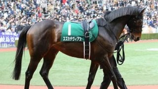 穴党記者が好物の函館記念。ウマい配当がいただけるのは、この４頭だ