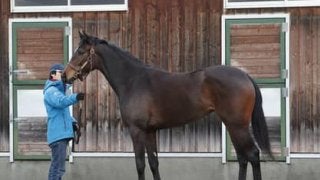 リスグラシューの妹リリレフアは「フットワークが軽やかで力もある」