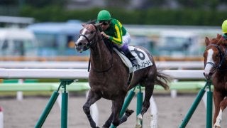 【新馬/函館5R】武豊サトノゴールドが完勝！デビューV