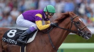 【渡島特別】武豊リワードアンヴァルが7馬身差圧勝！圧倒的人気に応える