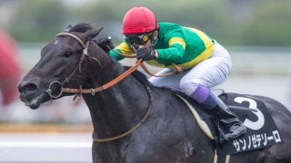 【下北半島特別】武豊サンノゼテソーロが2馬身差完勝！