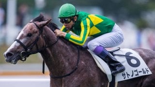 【日曜函館/5R新馬】武豊「いかにもゴールドシップ産駒」ゴールドシップ産駒JRA初勝利
