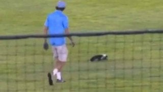 米マイナーでまさかの珍客襲来！　試合中断は「誰も触りたくない」生物が原因だった…