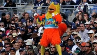 【MLB】米人気マスコットの前代未聞“大暴走”にファン興奮「これを待っていた」