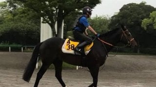 【中京記念】キャンベルジュニア 久々のマイルで重賞狙う