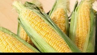 とうもろこし茶の驚くべき効果効能