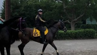 【アイビスSD】カッパツハッチ 千直適正高くチャンス