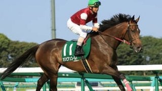 条件馬が激走するクイーンＳで夏休みのお小遣いを増やしちゃえ！