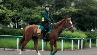 【注目新馬】コパノカリブ 背中の感じ良好で期待大きい