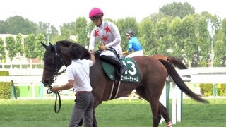 【クイーンS】川田「洋芝も合う」ミッキーチャームが得意の北海道で重賞勝ち！