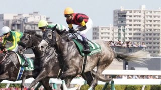 【クイーンS】武豊「向こう正面まで力んでいた」エイシンティンクルは伸びてくるも5着