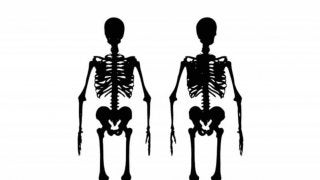 骨格の歪みの原因とは？