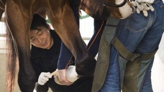 ディープインパクトが急死！装蹄師・西内荘「感謝しかない」