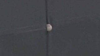 「ただほんとにスポンっ!!」-打球がフェンスに挟まる“珍場面”、パTVで再生10万回超