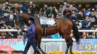 小倉記念は「好調馬」、そして相性のいい２人のジョッキーにおまかせ