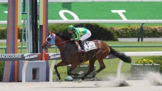 レパードＳは３年連続大荒れか。「逃げるが絡む」傾向に４頭がハマる