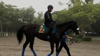 【注目新馬】シンハリング 近親にシンハライトがいる良血馬