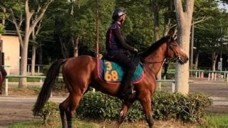 【注目新馬】セントオブゴールド 全姉はショウナンパンドラ