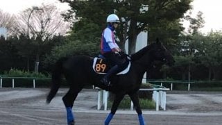 【レパードS】デルマルーヴル 舞台を問わない安定感