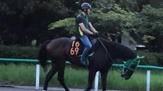 【レパードS】ワシントンテソーロ 早めの競馬で持ち味生かす