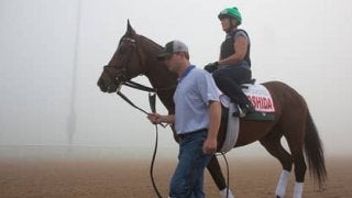 米ＧＩ２勝のヨシダが兄。初陣間近サンクテュエールの評判は上々だ