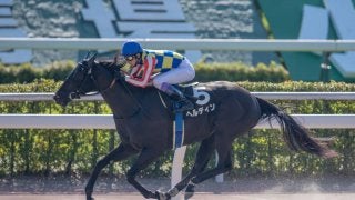 【小倉12R】武豊ヘルディンが軽快な逃げ切りを見せる