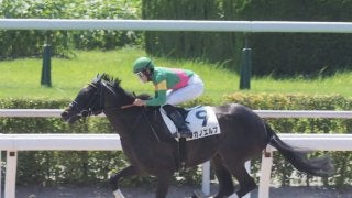 【小倉8R】斎藤新が好騎乗！ロングスパートを決めて7馬身差圧勝！