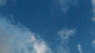 夏バテの原因と養生