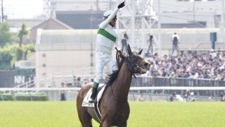 ダービー馬、ロジャーバローズが引退
