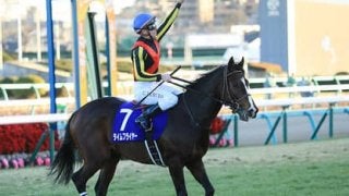 上がり馬には負けはせん。エルムＳは復活劇を目指す３頭の鼻息が荒い