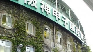 甲子園の赤レンガを覆う「蔦」の秘密。緑のカーテンの苗はどこから？