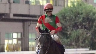 【ブリーダーズゴールドC】JRA出走予定馬