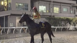 【クラスターC】JRA出走予定馬