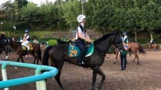 【注目新馬】サンクテュエール  半兄はヨシダ