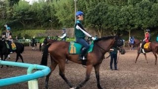 【注目新馬】カトゥルスフェリス  ディープの良血馬が始動