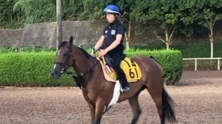 【関屋記念】ハーレムライン コース相性良し