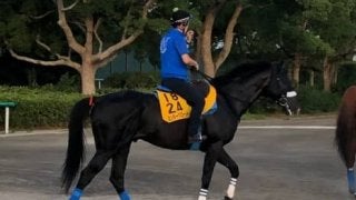 【関屋記念】ミッキーグローリー 勝って賞金加算を