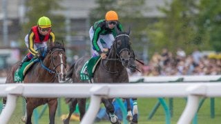 【エルムS】武豊「自信があったのですが…」グリムは伸びず7着敗退