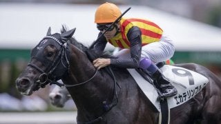 【日曜札幌/5R新馬】武豊「併せてからようやくスイッチが…」エカテリンブルクが断然の人気に応える