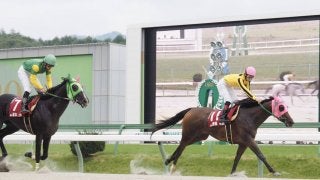 【ヤングジョッキーズTR盛岡】菅原明良騎手が第2戦を制する！菜七子は8着