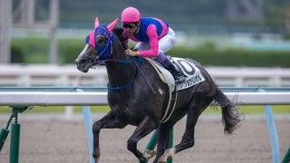【小倉2R】武豊メイショウベンガルが圧勝！