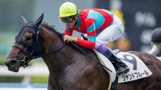 【日曜小倉・5R/新馬】武豊「将来性がある」キズナ産駒シャンドフルールがV！