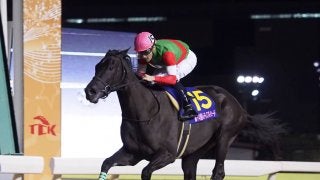 クイーンマンボ号が競走馬登録抹消