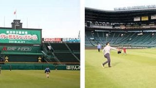 甲子園の天然芝エリア＆土エリアでキャッチボール！特別イベント9月開催