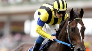 来春を占う新潟２歳Ｓ。同じ産駒の勝率が高い２頭が本命だ