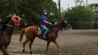 【新潟2歳S】グライユル 鹿戸師「マイルまでなら持ちそう」