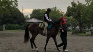 【新潟2歳S】トロワマルス 血統的にゆかりの舞台